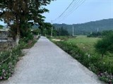 Cắt lỗ mảnh đất xã Đồng Tiến, huyện Cô Tô thích hợp kinh doanh du lịch