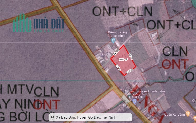 TÂY NINH, GÒ DẦU BÁN 1HA ĐẤT THỔ CƯ, ĐƯỜNG DT 782, CHỈ 28 TỶ