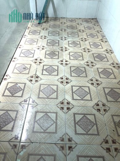 Bán Nhà Lê Đức Thọ Gò Vấp 233m2 Hẻm Xe Tải Giá 20 Tỷ 5