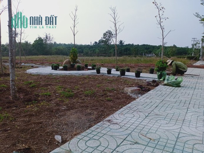 CẮT LỖ LÔ ĐẤT THỔ CƯ NGAY KCN DẦU GIÂY - ĐỒNG NAI, 900tr/nền, Sổ sẵn