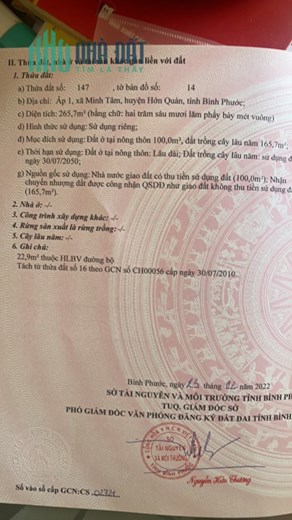 3 LÔ ĐẤT ĐẸP LIỀN KỀ SỔ ĐỎ HỚN QUẢN BÌNH PHƯỚC