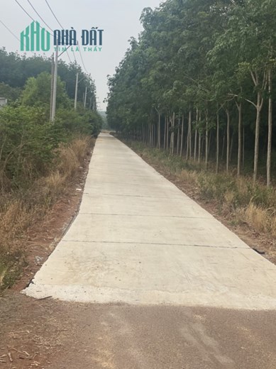 3 LÔ ĐẤT ĐẸP LIỀN KỀ SỔ ĐỎ HỚN QUẢN BÌNH PHƯỚC