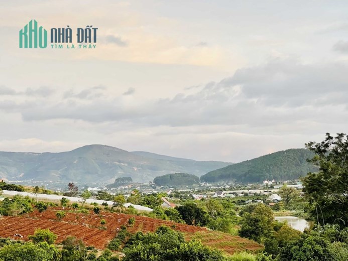 Chính chủ cần bán 8,3 sào ở trung tâm thị trấn. Lên đc thổ cư. Cách nhựa liên huyện chỉ 500m
