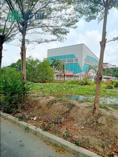 Bán lô đất 6x20m 8 tỷ đường Vành Đai (ĐS1) KDC Conic 13B- xã Phong Phú- Bình Chánh