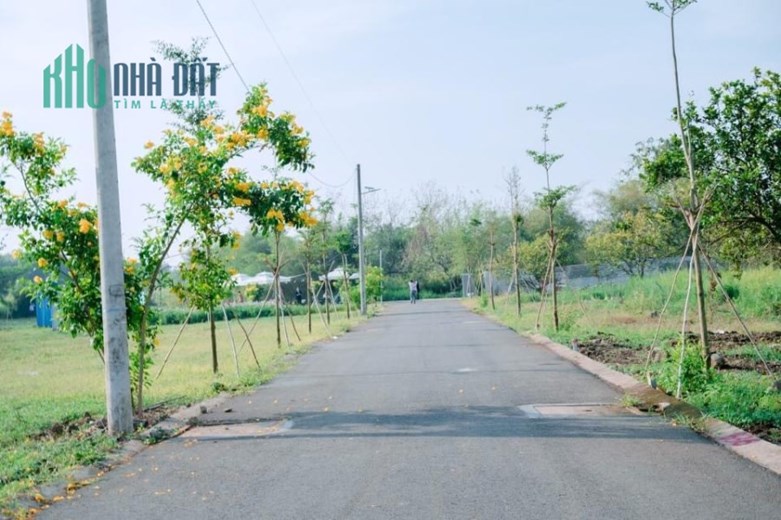 Cắt lỗ lô đất full thổ cư ngay trường tiểu học Sông Thao - Trảng Bom - Đồng Nai, 900tr/lô, Sổ sẵn