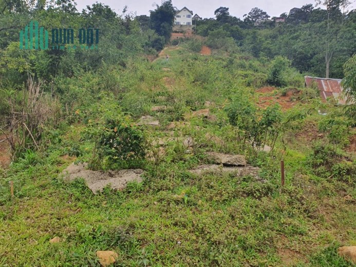 Bán gấp đất giá rẻ view đẹp đường 3 Tháng 4, Đà Lạt 210m2 giá 2.2 tỷ
