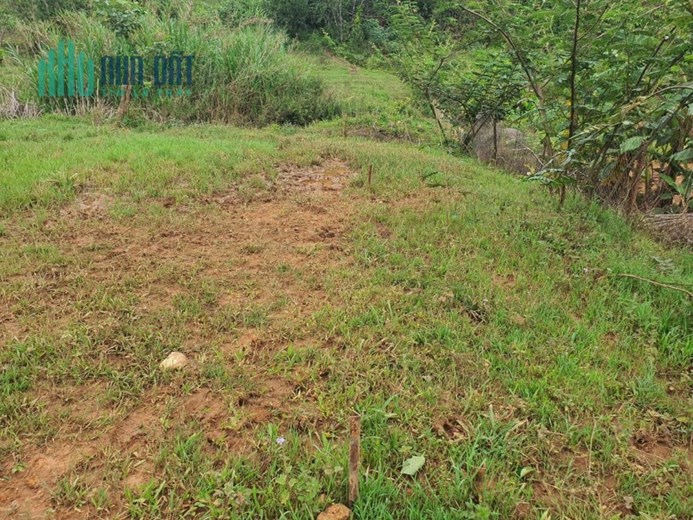 Bán gấp đất giá rẻ view đẹp đường 3 Tháng 4, Đà Lạt 210m2 giá 2.2 tỷ