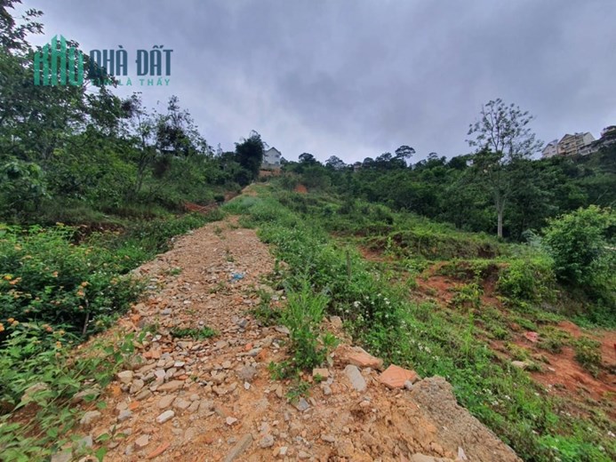 Bán gấp đất giá rẻ view đẹp đường 3 Tháng 4, Đà Lạt 210m2 giá 2.2 tỷ