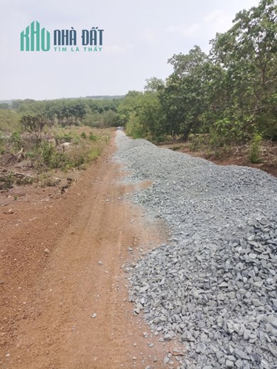Gia Đình Kẹt Tiền Cần Bán Lô Đất Để Lo Chi Phí Cho Con Gái Đi Du Học Tại Anh, Nên Cần Bán Gấp.