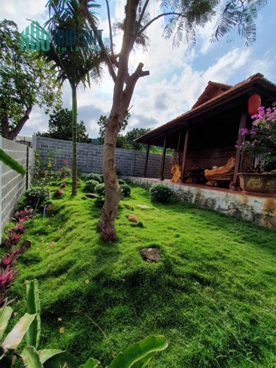 Bạn đang tìm một nơi yên bình, xanh mát và tận hưởng cuộc sống tự nhiên để an cư? Hãy khám phá ngay