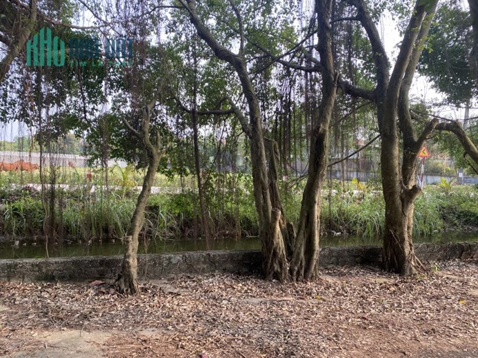 Bán đất xã Chính Nghĩa, huyện Kim Động, Hưng Yên.