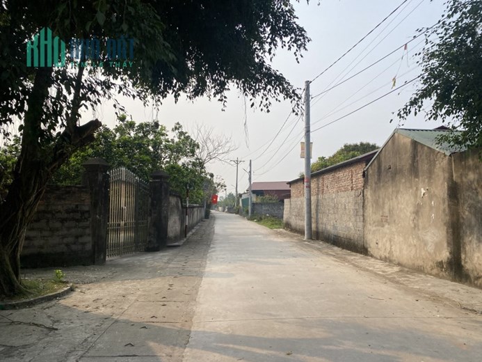 Bán đất xã Chính Nghĩa, huyện Kim Động, Hưng Yên.