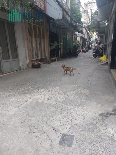 Nhà Sư Vạn Hạnh, hẻm 6m thẳng trục, gần mặt tiền, 4 tầng BTCT giá 7 tỷ5 LH 0931054938