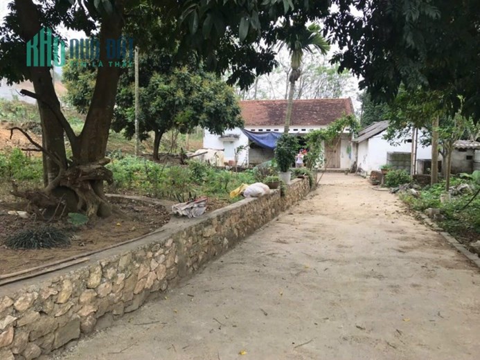 Chưa đến 2tr/m2 Đất đẹp 3000m2 view đẹp đường lớn tại Liên Sơn- Lương Sơn- Hoà Bình