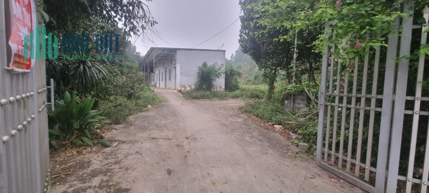 Cần chuyển nhượng 3787m2 tại tiểu khu Liên Sơn - TT. Lương Sơn giá giảm sâu nhất cho các nhà đầu tư