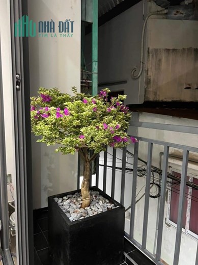CẦN BÁN GẤP NHÀ MỘT SẸC VÕ THỊ NHỜ QUẬN 7