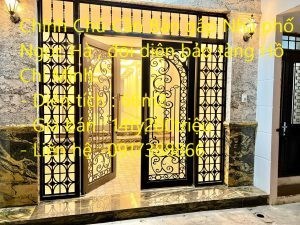Chính Chủ Cần Bán gấp Nhà phố Ngọc Hà , đối diện bảo tàng Hồ Chí Mình