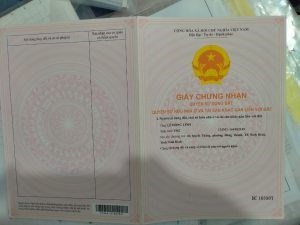 Chính Chủ Cần Bán nhà hẻm xe hơi 2 mặt thoáng Trung Tâm Bình Tân
