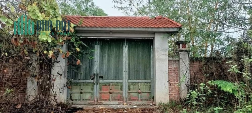 Cần Bán Lô Đất 1000m2 tại trung tâm Ngọc Thanh, Phúc Yên, Vĩnh Phúc