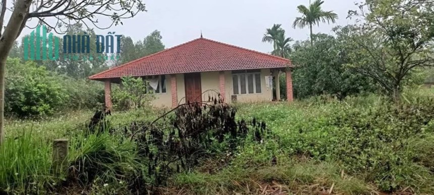 Cần Bán Lô Đất 1000m2 tại trung tâm Ngọc Thanh, Phúc Yên, Vĩnh Phúc