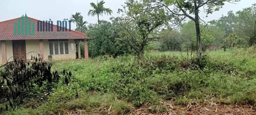Cần Bán Lô Đất 1000m2 tại trung tâm Ngọc Thanh, Phúc Yên, Vĩnh Phúc