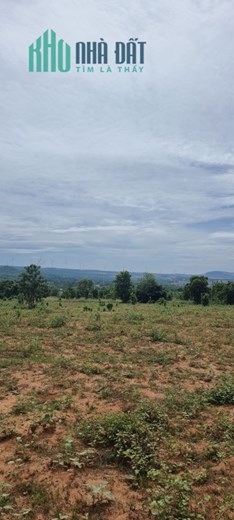 Cần bán nhanh 1,3ha đất Hồng Phong view view biển Hòa Thắng
