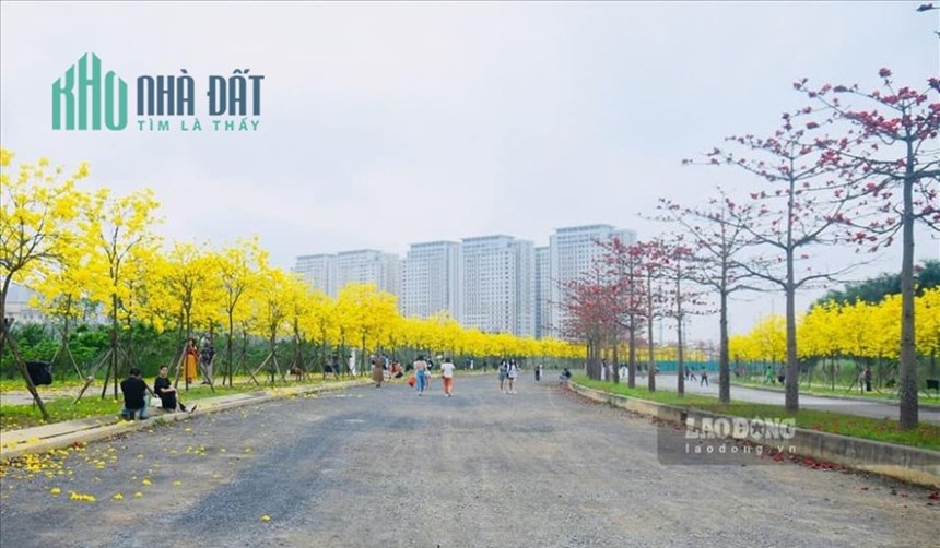 BÁN NHÀ LÊ TRỌNG TẤN HÀ ĐÔNG - NGÕ THÔNG Ô TÔ ĐỖ CỬA - DÂN XÂY - GIÁ 2.X TỶ