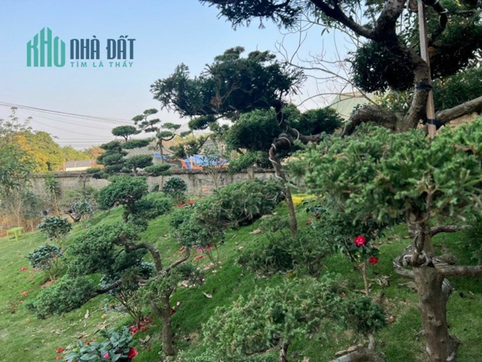 CHUYỂN NHƯỢNG 398m BÁM MẶT ĐƯỜNG NHỰA TRỤC CHÍNH LƯƠNG SƠN - HÀO BÌNH