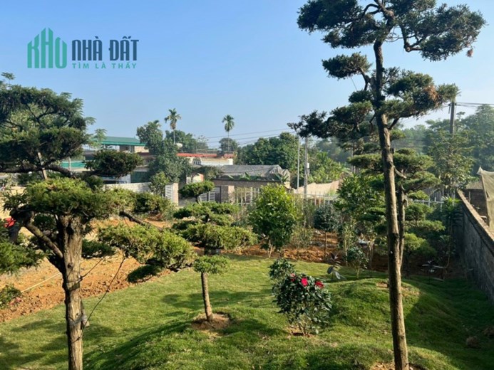 CHUYỂN NHƯỢNG 398m BÁM MẶT ĐƯỜNG NHỰA TRỤC CHÍNH LƯƠNG SƠN - HÀO BÌNH
