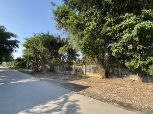 Cần Bán Lô Đất Hiếm Mặt Tiền Ven Sông Sài Gòn, Thuận An