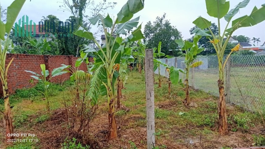 bán đất Điện Tiến không cấn mồ mã dưới dốc bồ bồ chỉ 6xxtr