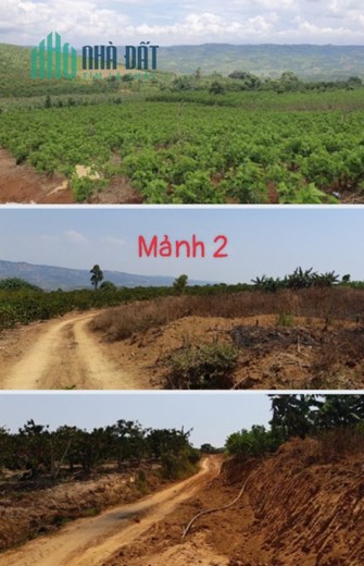 CHÍNH CHỦ BÁN 3 MẢNH ĐẤT TẠI DI LINH LÂM ĐỒNG. LH:0911575039, 0838175175, 0913580239.