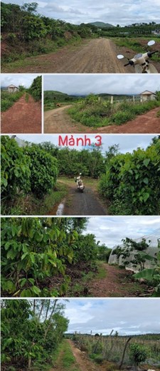 CHÍNH CHỦ BÁN 3 MẢNH ĐẤT TẠI DI LINH LÂM ĐỒNG. LH:0911575039, 0838175175, 0913580239.