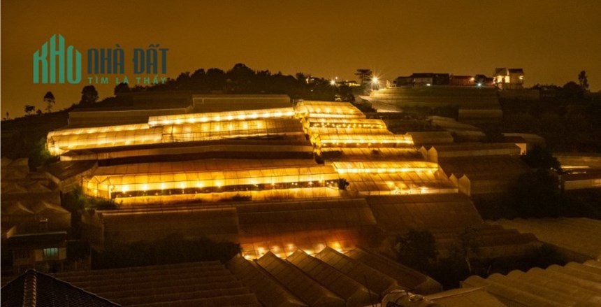 Khách Sạn 14P View Nhà Đèn - Hùng Vương P11 - Đà Lạt