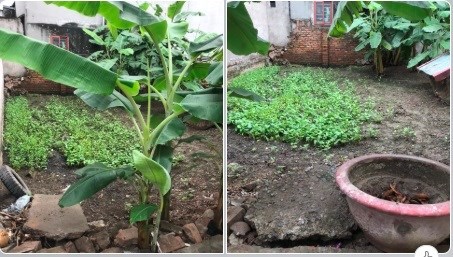 💥Chị gái nhờ bán đất ngõ 197/72 Phúc Lợi, Long Biên, 3tỷ; 0981568408