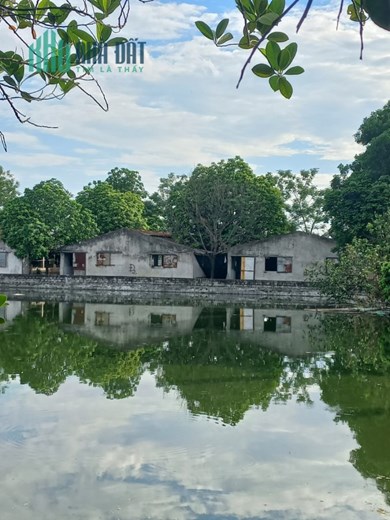 CẦN CHUYỂN NHƯỢNG TRANG TRẠI 26000M2 TẠI PHÚ XUYÊN – HN