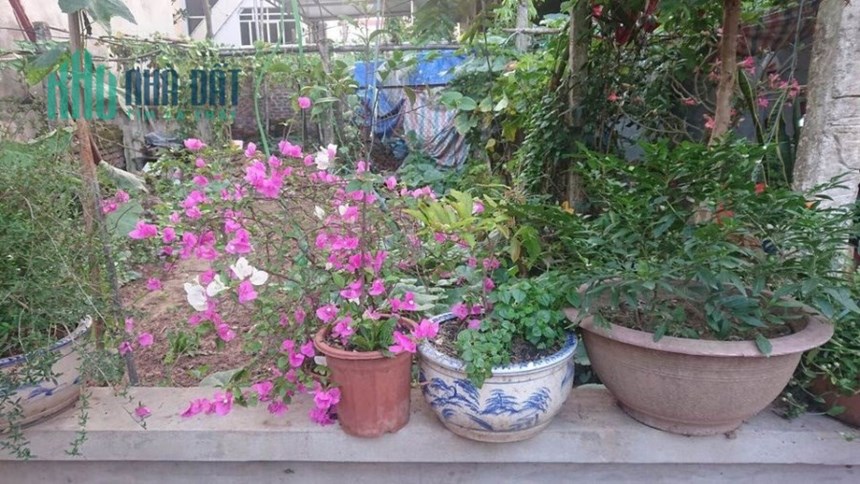 Bán đất siêu đẹp phố Quang Trung, Hà Đông, 31m2, mt3.8m, giá 1.75 tỷ