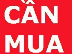 Cần mua đất liền kề và biệt thự dự án huyện mê linh
