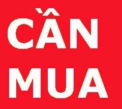 Cần mua đất liền kề và biệt thự dự án huyện mê linh