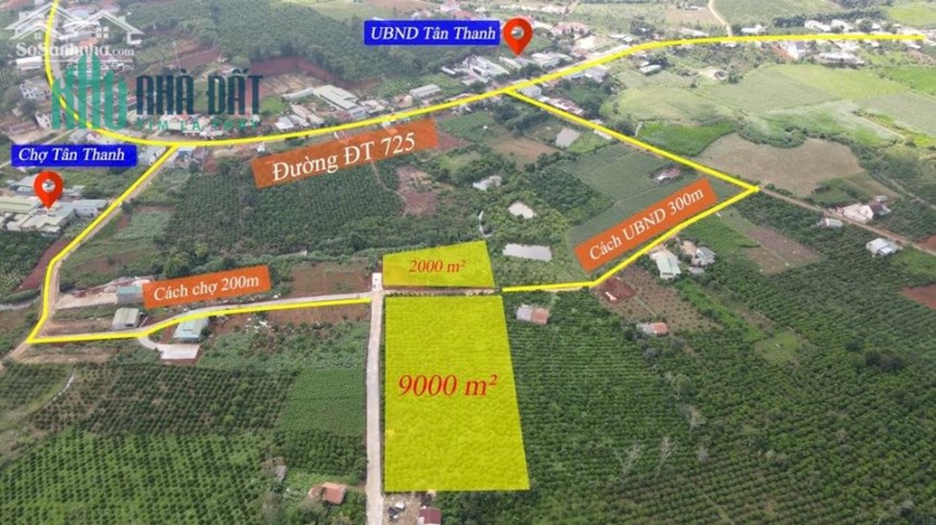 SỞ HỮU NGAY 8 LÔ ĐẤT NỀN NGHỈ DƯỠNG KHU VỰC VEN ĐÀ LẠT KHÔNG KHÍ MÁT MẺ, CÓ SUỐI LỚN BAO QUANH
