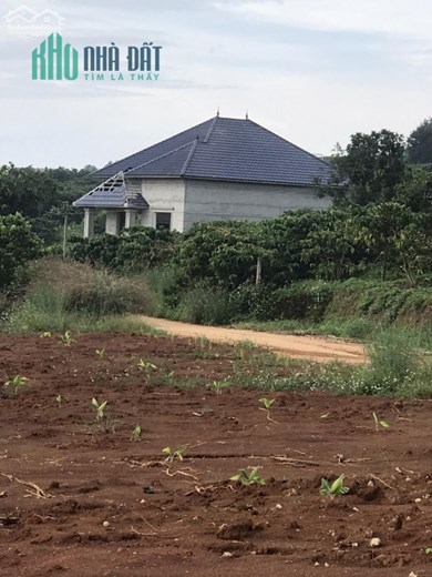 SỞ HỮU NGAY 8 LÔ ĐẤT NỀN NGHỈ DƯỠNG KHU VỰC VEN ĐÀ LẠT KHÔNG KHÍ MÁT MẺ, CÓ SUỐI LỚN BAO QUANH