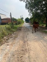 Cần bán nhanh lô đất 1/ đường 3/2 Đường 3/2, Thị trấn Hậu Nghĩa, Đức Hòa, Long An