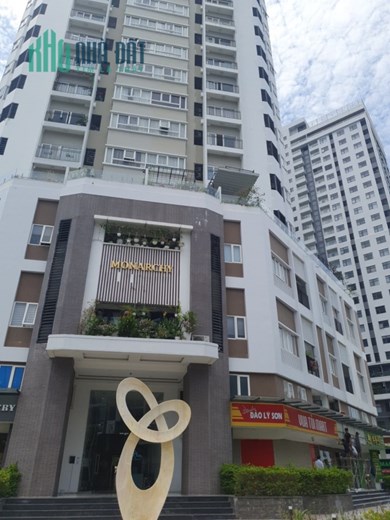 Bán gấp căn hộ Monarchuy thiết kế DUPLEX. Đường Trần Hưng Đạo. Quận Sơn trà. Nhìn Sông Hàn