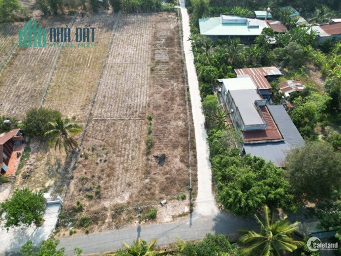 Định cư nước ngoài, nên gia đình tôi bán rẻ đất ở GÒ DẦU, TÂY NINH: