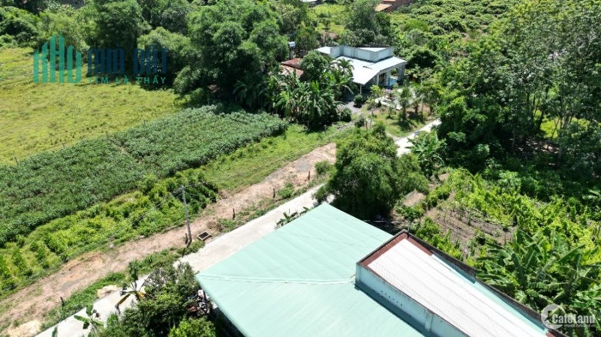 Định cư nước ngoài, nên gia đình tôi bán rẻ đất ở GÒ DẦU, TÂY NINH: