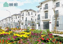 Biệt thự xanh giữa trung tâm vùng thủ đô