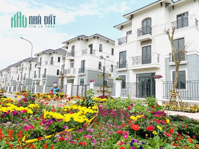 Biệt thự xanh giữa trung tâm vùng thủ đô