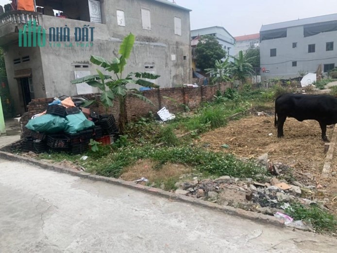 BÁN ĐẤT ĐẠI MẠCH ĐÔNG ANH GẦN KCN THĂNG LONG GIÁ CHỈ 2XTR/M