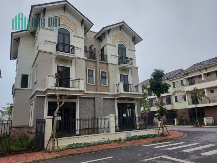 Bán cặp biệt thự song lập 270m giá tốt nhất dự án.