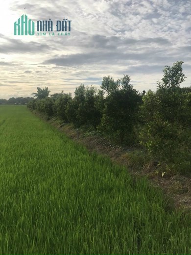 Chính chủ cần bán đất nghỉ dưỡng 1188m2 Giá tốt cho khách thiện chí